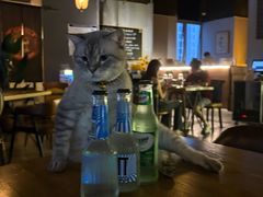 -故遥酒馆.赛事直播