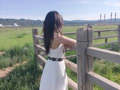 -敕勒川草原