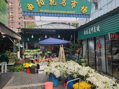 -曲阳花鸟市场(曲阳路店)