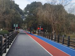 -桐乡植物园