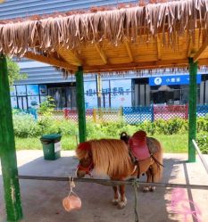 -萌宠亲子动物乐园(槐房万达店)