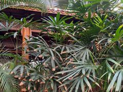 -龙达温泉生态城