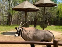 -大连森林动物园