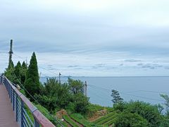 -崂山仰口游览区