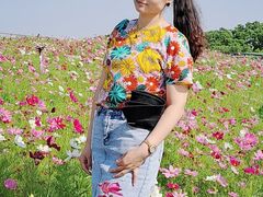 -大塘金香草谷