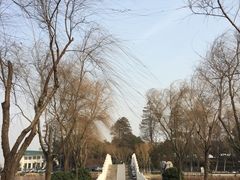 -沈记烧烤海鲜(江汉二路店)
