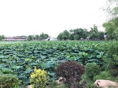 -长春市南湖公园