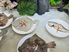 -四海蒸鲜蒸汽海鲜自助(北戴河店)