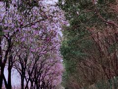 -南丰汇(新港东路店)