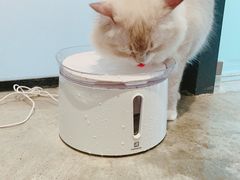 -瞄一喵猫咖(格力海岸店)