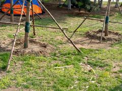 -长白岛森林公园