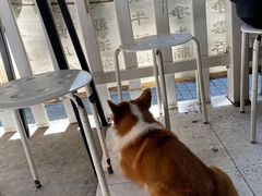 -小梁哥云吞面(黄贝岭店)