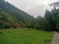 -苏木山森林公园