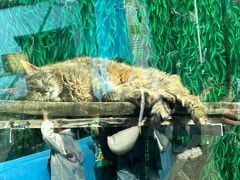 -青藏高原野生动物园