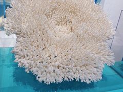 -前小桔亲子创意农场·草莓采摘·露营烧烤