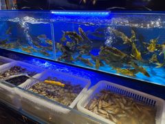 水产区-布多斯烤肉火锅自助(江腾广场店)