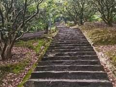 -风云岭森林公园