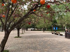 -唐城墙遗址公园