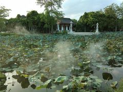 -惠州西湖丰渚园