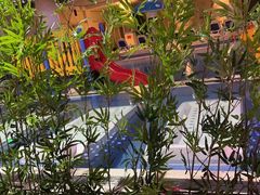 -水晶之星洗浴温泉汗蒸