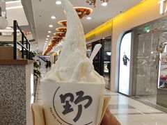 -野人先生Gelato(上海长宁龙之梦店)