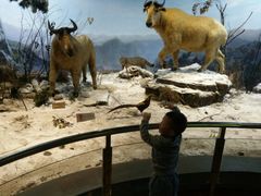 -陕西自然博物馆