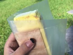 -詹爷爷乌节路街头冰淇淋