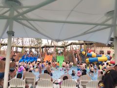 -苏州乐园森林水世界