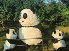 -柱状节理带