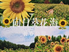 -长春公园(普阳街道)
