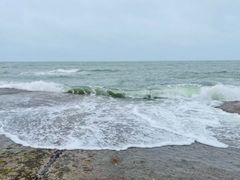 -渡海小渔村.老辈日照菜