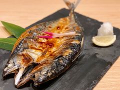 青花鱼-鮨·玄海