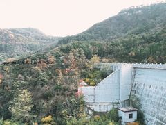 -沂蒙山旅游区云蒙景区(蒙山国家森林公园)