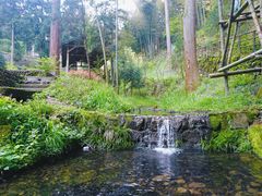 -东天目山风景区