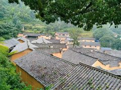 -杨家堂村