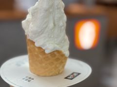 -野人先生Gelato(上海长宁龙之梦店)