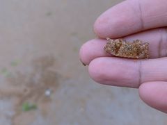 -青岛银沙滩