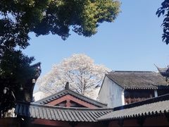 -寒山寺