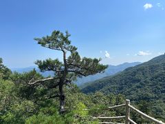 -牛背梁国家森林公园