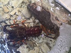 -阳光海鲜城(太仓万达店)
