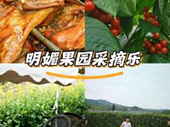 -桃源山庄·水蜜桃采摘·柴火鸡·烧烤团建(龙泉山店)