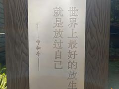 -苍山感通索道
