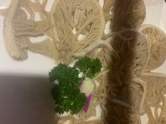 -老版火锅(半坡店)
