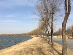 -象湖生态湿地公园