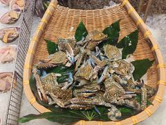 -初色海鲜自助(万丰路店)