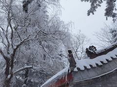 -秦岭终南山世界地质公园翠华山景区