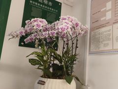 -七步香云南山里菜(昆明老街店)