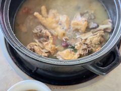 -蘑统田下·野生菌火锅