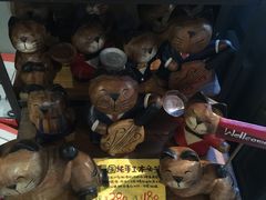 -猫咪博物馆(顶澳仔猫街店)