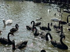 -扬州市茱萸湾风景区